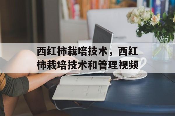 西红柿栽培技术，西红柿栽培技术和管理视频-第1张图片-