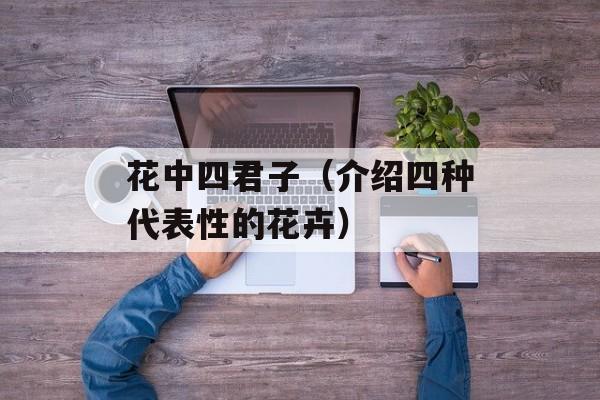 花中四君子（介绍四种代表性的花卉）-第1张图片-