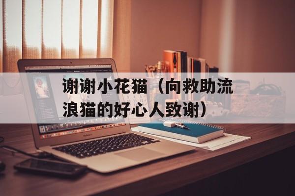 谢谢小花猫（向救助流浪猫的好心人致谢）-第1张图片-