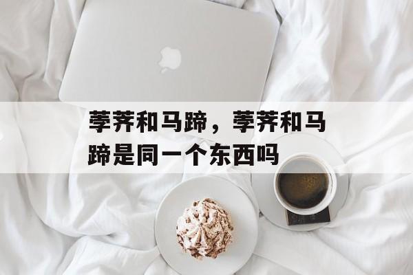 荸荠和马蹄，荸荠和马蹄是同一个东西吗-第1张图片-