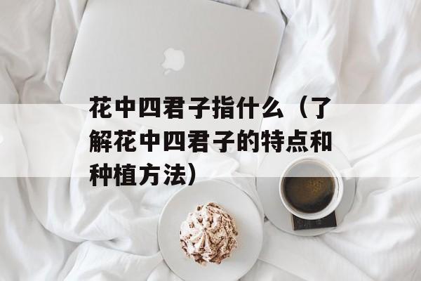 花中四君子指什么（了解花中四君子的特点和种植方法）-第1张图片-