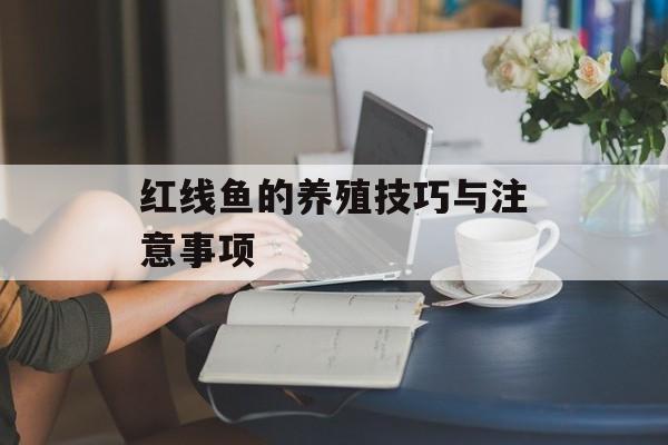 红线鱼的养殖技巧与注意事项-第1张图片-