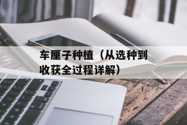 车厘子种植（从选种到收获全过程详解）-第1张图片-