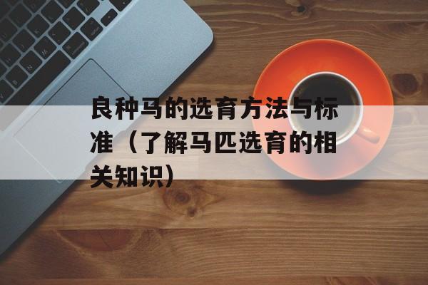 良种马的选育方法与标准（了解马匹选育的相关知识）-第1张图片-