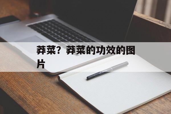 莽菜？莽菜的功效的图片-第1张图片-