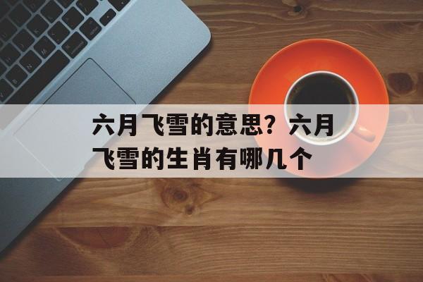 六月飞雪的意思？六月飞雪的生肖有哪几个-第1张图片-