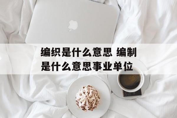 编织是什么意思 编制是什么意思事业单位-第1张图片-