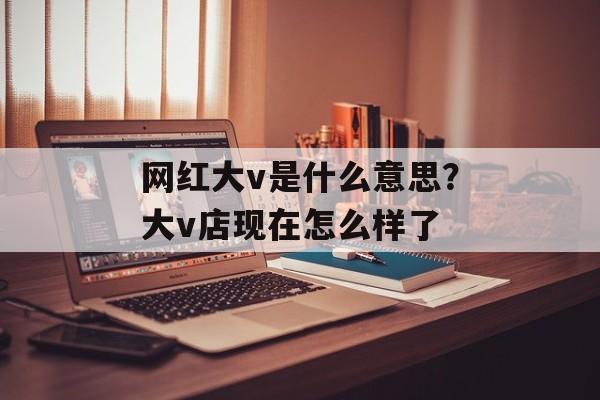 网红大v是什么意思？大v店现在怎么样了-第1张图片-