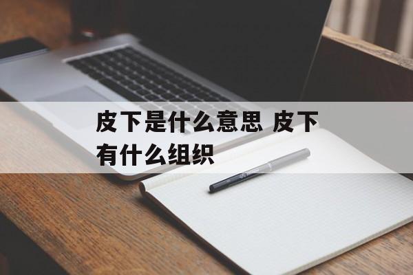 皮下是什么意思 皮下有什么组织-第1张图片-