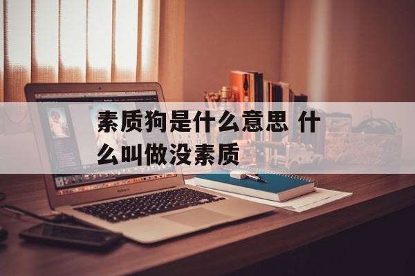 素质狗是什么意思 什么叫做没素质-第1张图片-