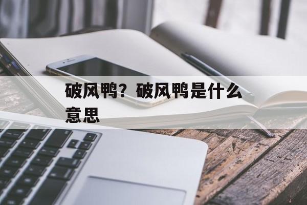 破风鸭？破风鸭是什么意思-第1张图片-