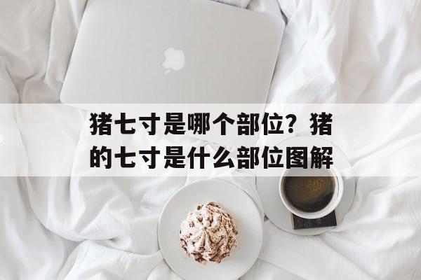 猪七寸是哪个部位？猪的七寸是什么部位图解-第1张图片-