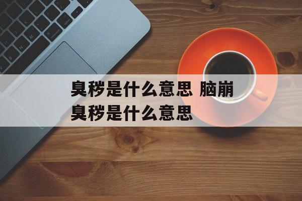臭秽是什么意思 脑崩臭秽是什么意思-第1张图片-