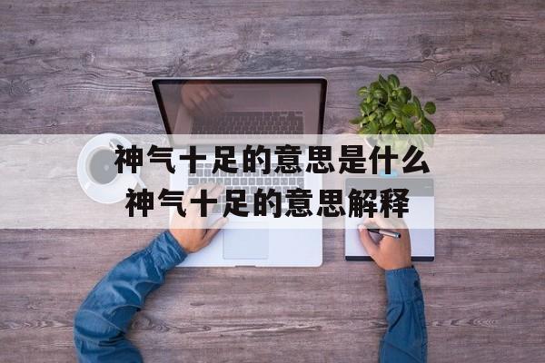 神气十足的意思是什么 神气十足的意思解释-第1张图片-