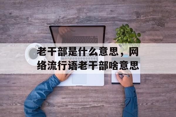 老干部是什么意思，网络流行语老干部啥意思-第1张图片-