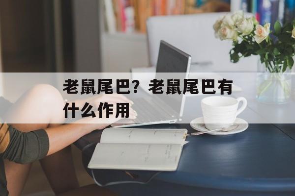老鼠尾巴？老鼠尾巴有什么作用-第1张图片-