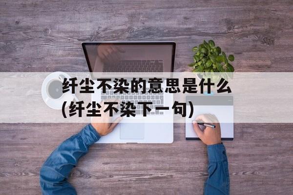 纤尘不染的意思是什么(纤尘不染下一句)-第1张图片-