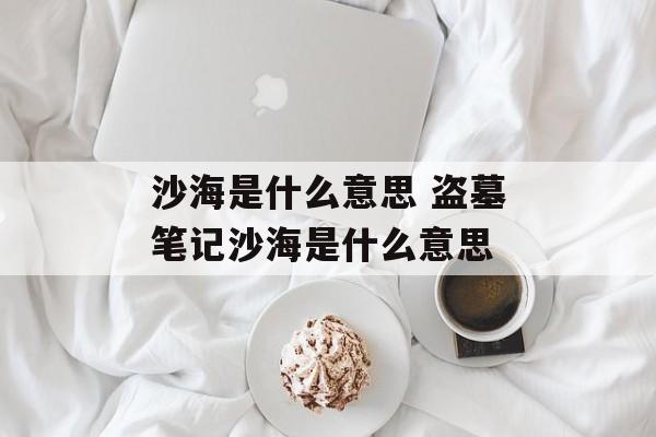沙海是什么意思 盗墓笔记沙海是什么意思-第1张图片-