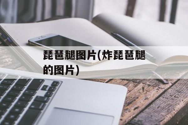 琵琶腿图片(炸琵琶腿的图片)-第1张图片-
