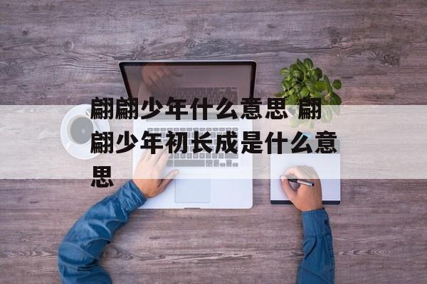 翩翩少年什么意思 翩翩少年初长成是什么意思-第1张图片-