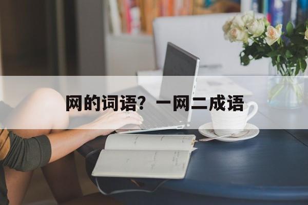 网的词语？一网二成语-第1张图片-