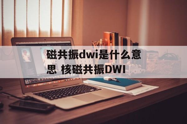 磁共振dwi是什么意思 核磁共振DWI-第1张图片-