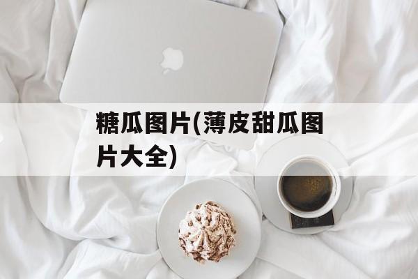 糖瓜图片(薄皮甜瓜图片大全)-第1张图片-