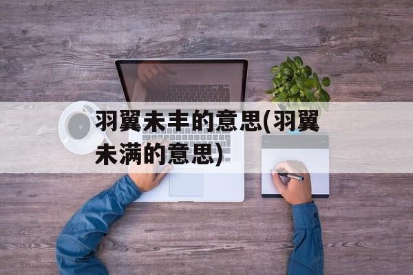 羽翼未丰的意思(羽翼未满的意思)-第1张图片-