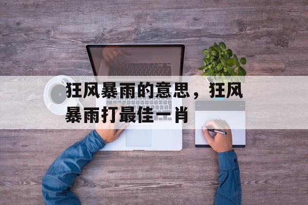 狂风暴雨的意思，狂风暴雨打最佳一肖-第1张图片-