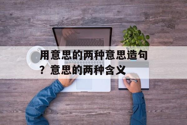 用意思的两种意思造句？意思的两种含义-第1张图片-