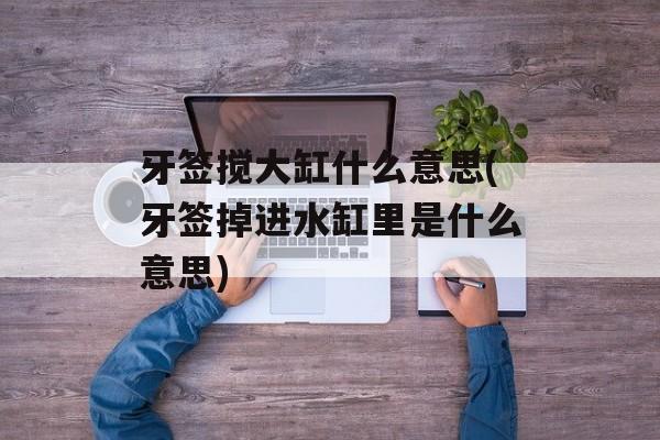 牙签搅大缸什么意思(牙签掉进水缸里是什么意思)-第1张图片-