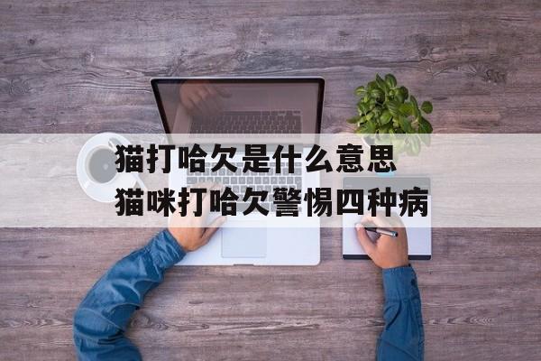猫打哈欠是什么意思 猫咪打哈欠警惕四种病-第1张图片-