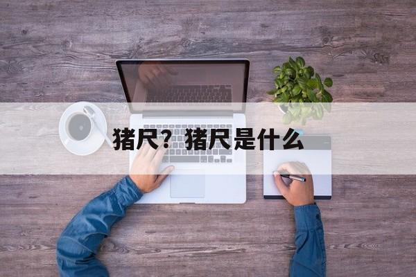 猪尺？猪尺是什么-第1张图片-