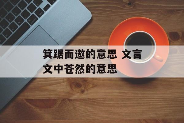 箕踞而遨的意思 文言文中苍然的意思-第1张图片-