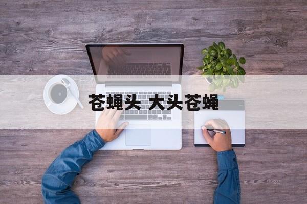 苍蝇头 大头苍蝇-第1张图片-