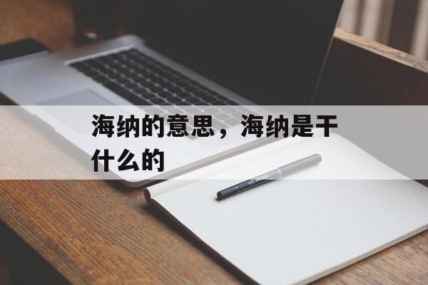 海纳的意思，海纳是干什么的-第1张图片-