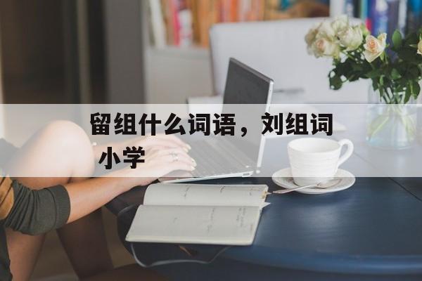 留组什么词语，刘组词 小学-第1张图片-
