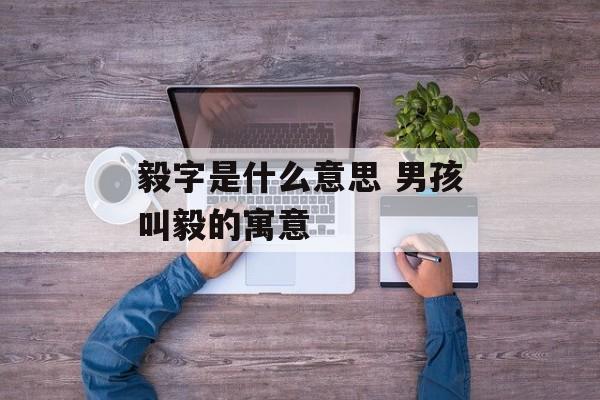 毅字是什么意思 男孩叫毅的寓意-第1张图片-