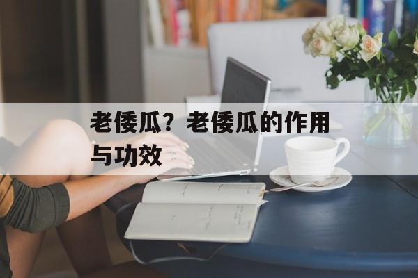 老倭瓜？老倭瓜的作用与功效-第1张图片-