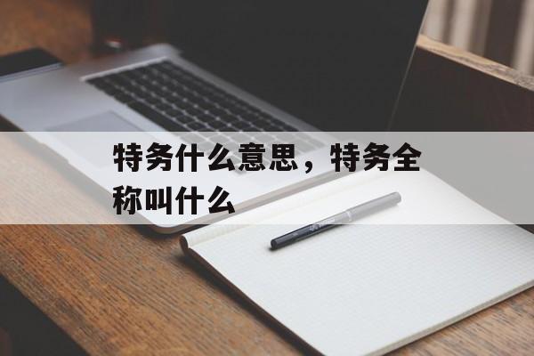 特务什么意思，特务全称叫什么-第1张图片-