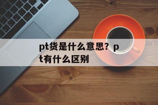 pt货是什么意思？pt有什么区别-第1张图片-