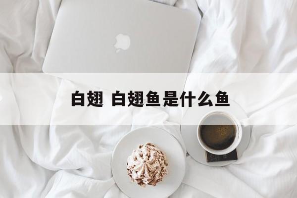 白翅 白翅鱼是什么鱼-第1张图片-