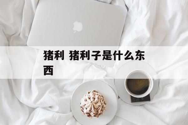 猪利 猪利子是什么东西-第1张图片-