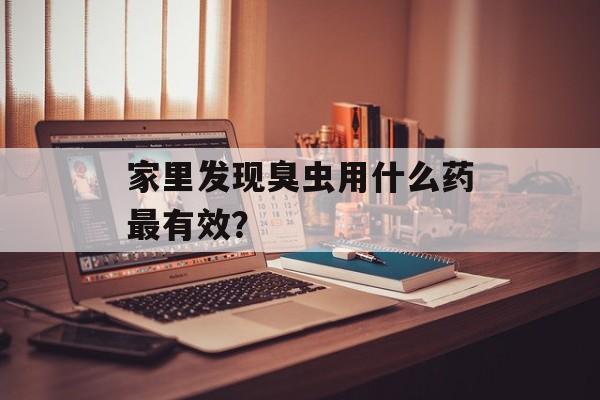家里发现臭虫用什么药最有效？-第1张图片-趣味目光
