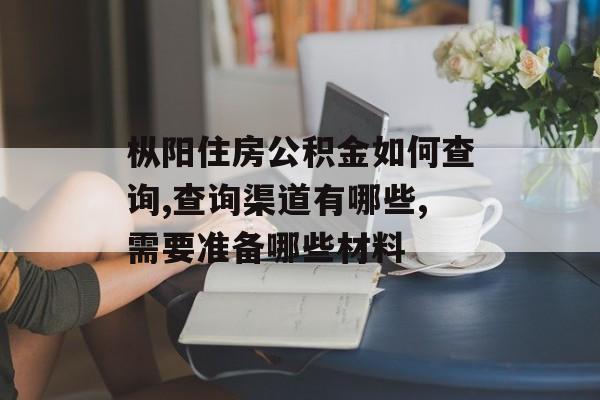枞阳住房公积金如何查询,查询渠道有哪些,需要准备哪些材料-第1张图片-趣味目光