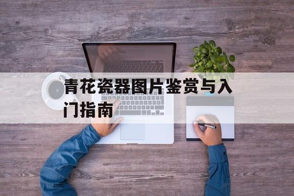 青花瓷器图片鉴赏与入门指南-第1张图片-趣味目光 青花瓷器图片鉴赏与入门指南-第1张图片-趣味目光